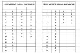 11 - 12.Sınıf Matematik Taraması Cevap Anahtarı (26.03.2026)